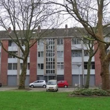 Grote Ruwenberg, 1083 BS Amsterdam, Nederland - Foto 4