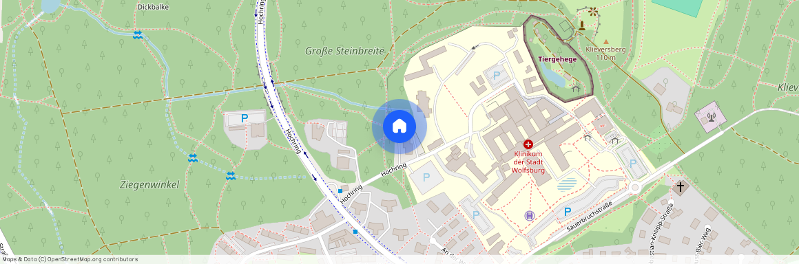 Hochring, 38440 Niedersachsen - Wolfsburg