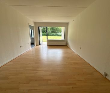 Velindrettet 2-værelses lejlighed med terrasse - Photo 1