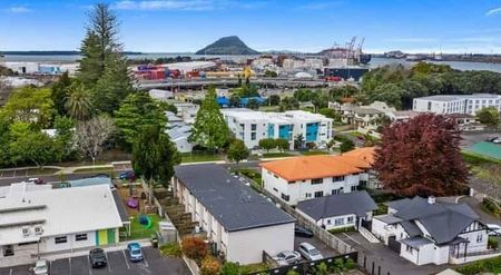 City Centre 2-Bedroom Apartment in Tauranga - Photo 5