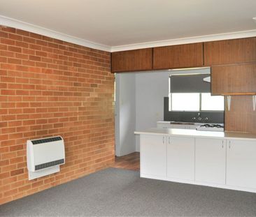 CBD & LOW MAINTENANCE - Photo 1