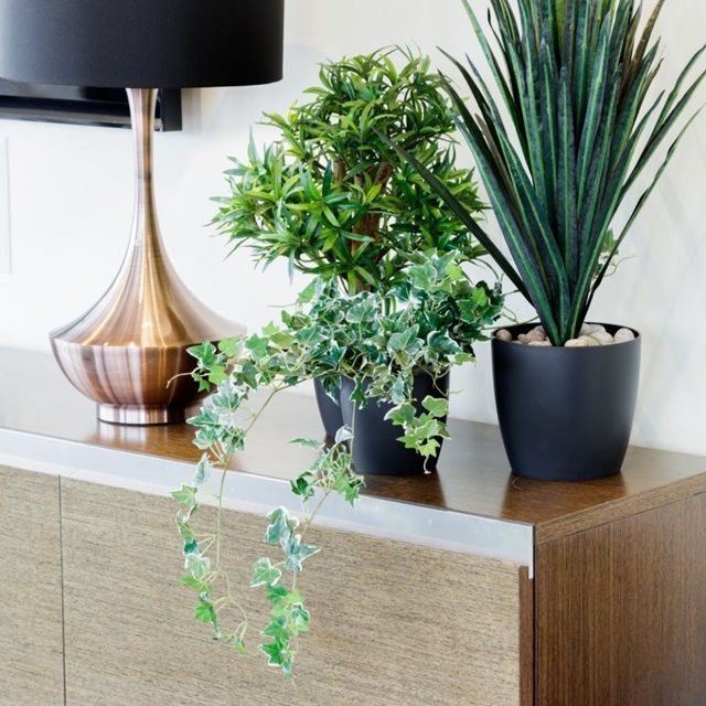 3 Bed Flat, Redmans Road, E1 - Photo 1