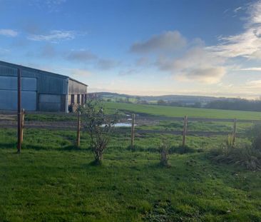 3 bedroom detached bungalow to rent - Photo 6