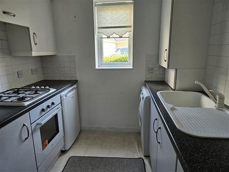 The Wickets - Photo 4