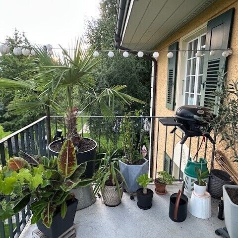 APPARTEMENT 41/2 PIÈCES À THOUNE (BE), MEUBLÉ, TEMPORAIRE - Foto 1