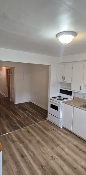 3 1/2 Mercier/Parc Bellerive - Photo 1