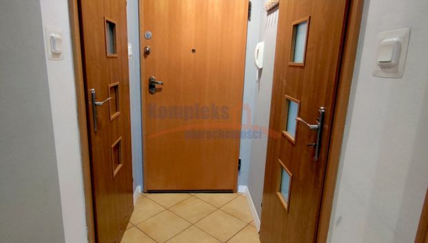 Gumieńce, ul. Hrubieszowska, Szczecin - Фото 1