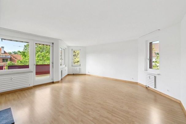 Family apartment in Basel - Photo 1