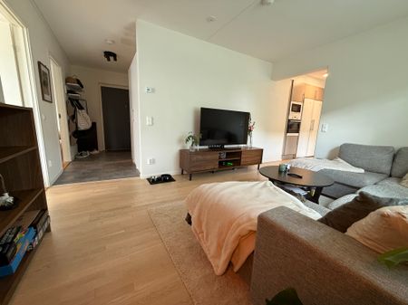 Vikaholmsallen, Växjö - Photo 2