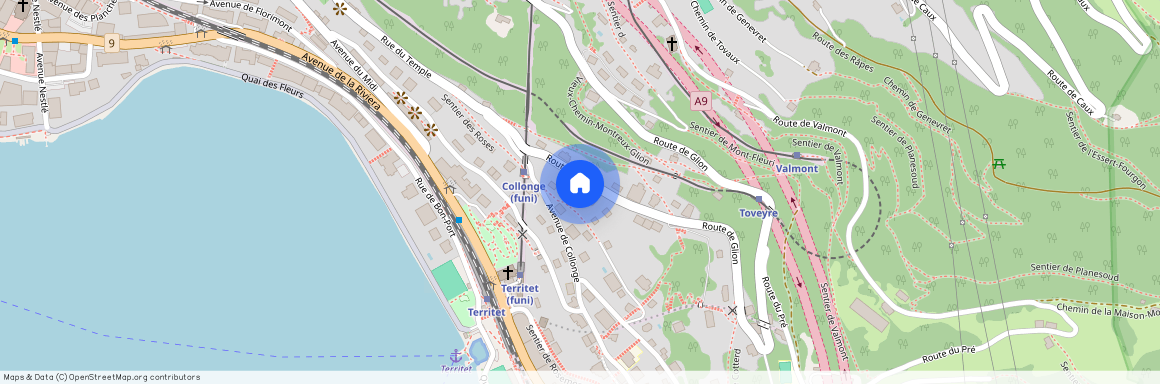 Route de Glion 16, 1820 Montreux 1