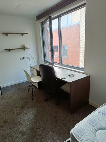 Studio Flat, Pearl Works, S1 - Photo 4