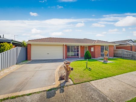 Family Living in the Heart of Cranbourne West - Photo 5