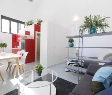 Studio for rent in Pueblo Nuevo, Pets allowed, no smoking - Photo 1