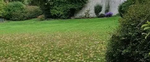 Karolinenstraße 11, 45475 Mülheim - Foto 1