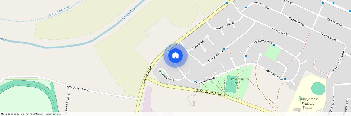 6 Wollombi Road, Muswellbrook, NSW 2333