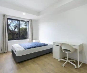 205/9-11 Lexington Place, Maroubra NSW 2035 - Photo 2