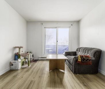 Appartement 4 ½ à louer Limoilou novembre 2025 - Photo 1