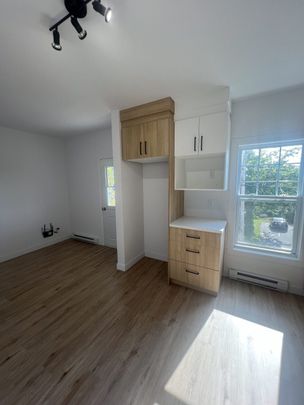 623-2 St-Jean-Baptiste, Nicolet - Photo 1