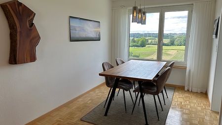 2½ Zimmer-Wohnung in Effretikon (ZH), möbliert, auf Zeit - Foto 5