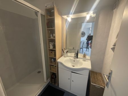 Location Appartement 2 pièces 50m² NICE 06300 - Photo 3