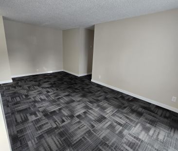 Beautifully renovated two bedroom unit in Waskasoo - Photo 1