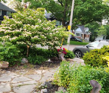 For Lease - 27 Wood Glen Road Unit# MAIN, Toronto, Ontario - Photo 5