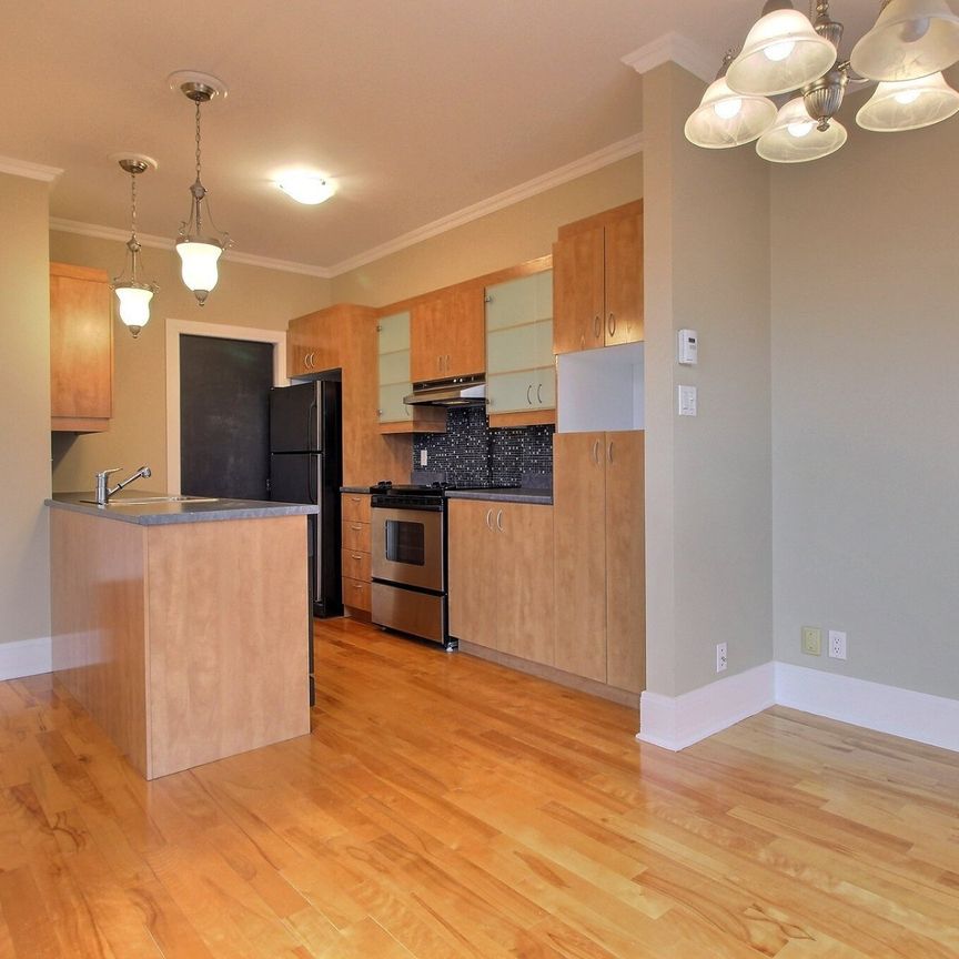 Condo for rent, Montréal (Ville-Marie) - Photo 1