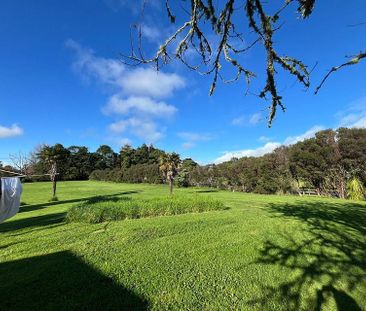 Charming 3BR Kumeu Haven w/ 1ha Lifestyle Block - Photo 4