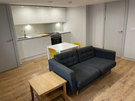 1 Bed Flat, Upper Parliament Street, L8 - Photo 4