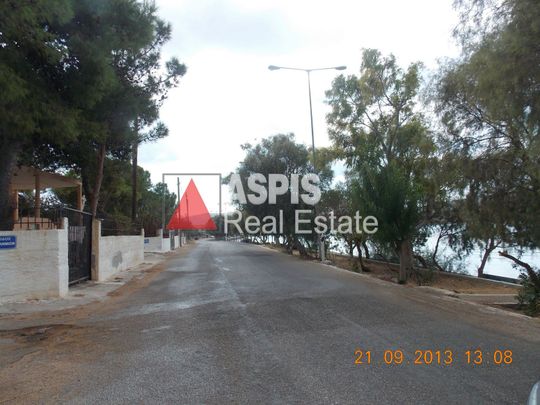 Μονοκατοικία για ενοικίαση Σαλαμίνα - Φωτογραφία 1