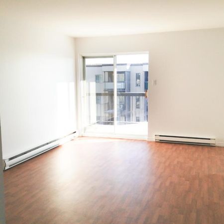 BEAU GRAND 3 ½ RÉNOVÉ, SECTEUR PAISIBLE, 1065$/MOIS TOUT INCLUS, DISPONIBLE À PARTIR DE AVRIL, MAI OU JUIN - Photo 4