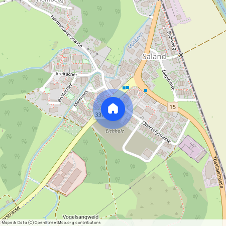 8493, Saland, Oberzelgstrasse, 2c