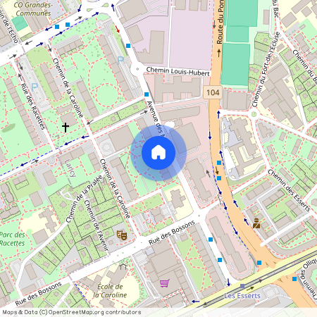 1213, Petit-Lancy, Avenue des Morgines, 21