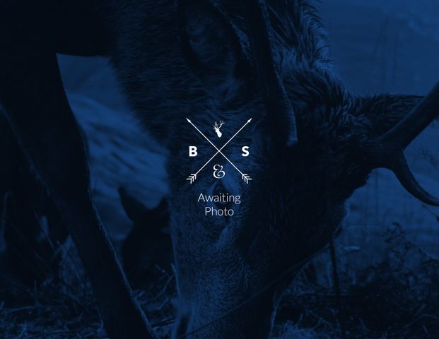 2 Bedroom Apartment - Ground Floor - Photo 1