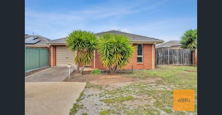 This naturally lit home is everything you're looking for. - Photo 5