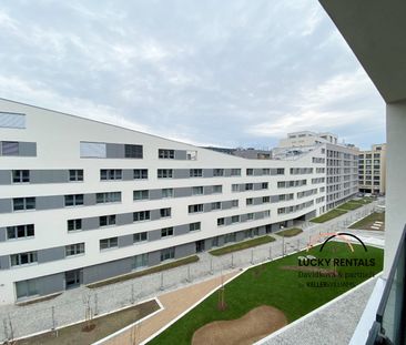 Pronájem bytu 2+kk 57 m², U Mlýnského kanálu 699, Praha Karlín - Photo 6