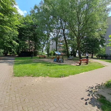 *1 Monat ist mietfrei!* Moderne 3-Zimmer-Wohnung mit Balkon in Braunschweig - Foto 4