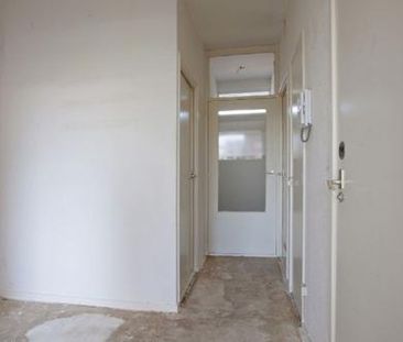 Plein 1953 3086 ED Rotterdam - Photo 3