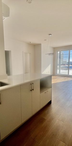 3 1/2 Immeuble Luxueux Avec Ascenseur - Photo 1