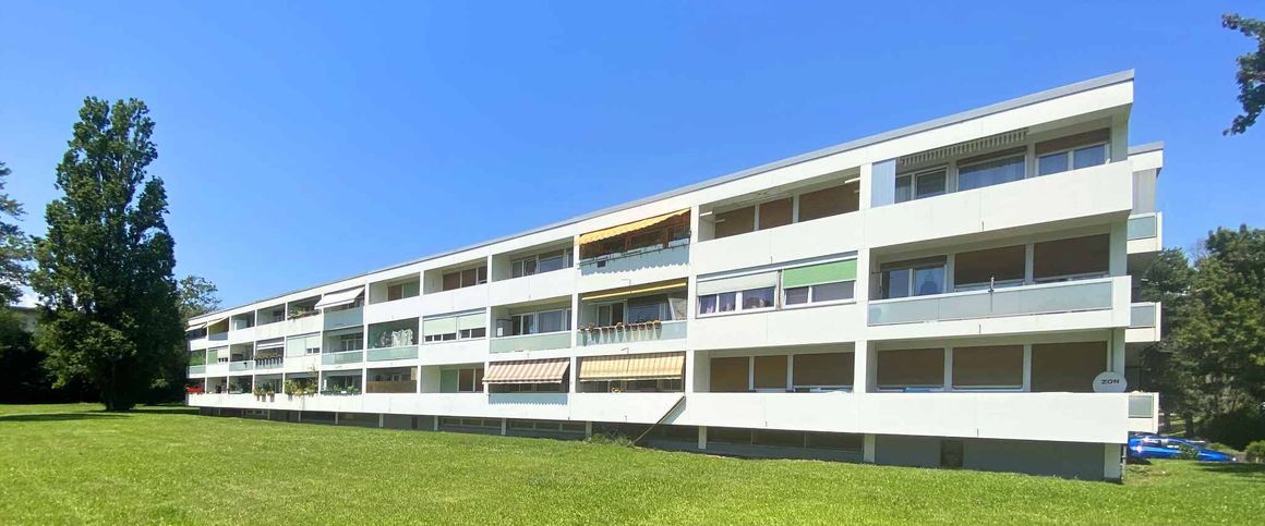 Appartement de 4 pièces à Onex - Foto 1