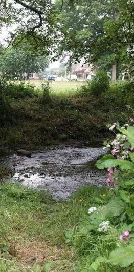 Brookfield Avenue, Loughborough, LE11 - Photo 2