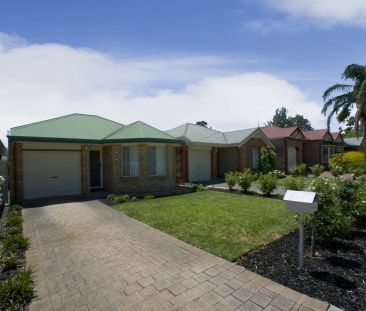 Professional & Straightforward - Photo 6