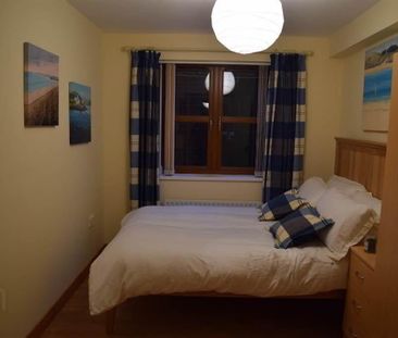 7a Olympia Drive, Belfast, BT12 6NG - Photo 4