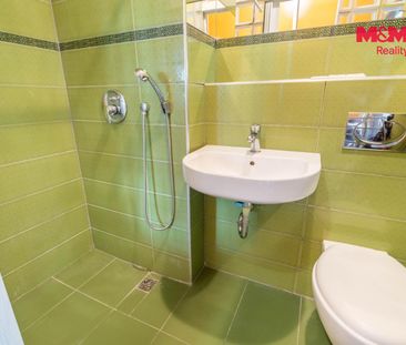 Pronájem bytu 1+kk a garsoniéry 21 m² - Fotografie 1