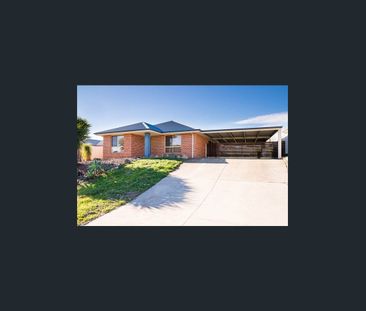 THREE BEDROOMS PLUS POWERED SHEDDING! - Photo 2