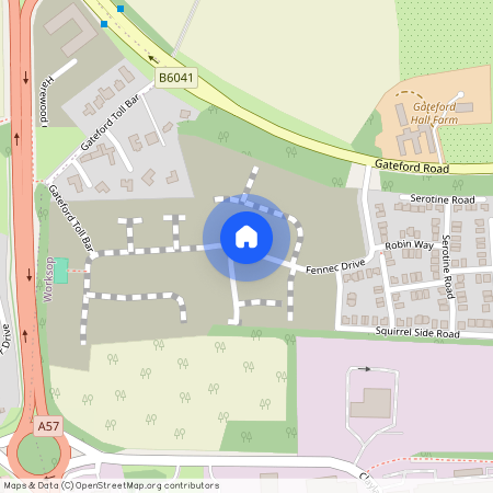 Redstart Place, Nottinghamshire, S81