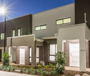 The Grove 3 bedroom, 126/7 Giosam St, Richlands share with manageme... - Photo 5