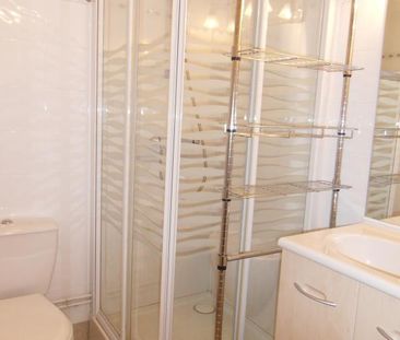 Location Appartement 1 pièce Meublé 20m² AIX LES BAINS 73100 - Photo 6