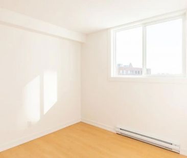 Mountview Apartments - Photo 3