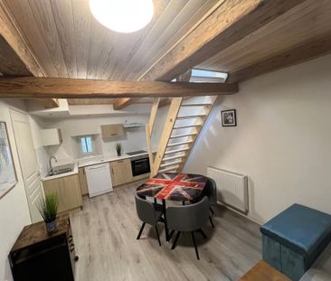 Très agréable duplex rénové situé entre le château et le jardin bot... - Foto 2